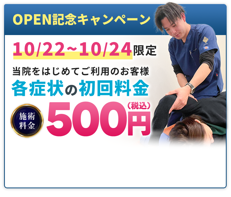 HP期間限定料金：500円